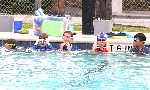 Mini swim session lessons in South Miami